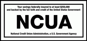 Your savings federally insured to at least $250,000 and backed by the full faith and credit of the United States Government. National Credit Union Administration, a U.S. Government Agency