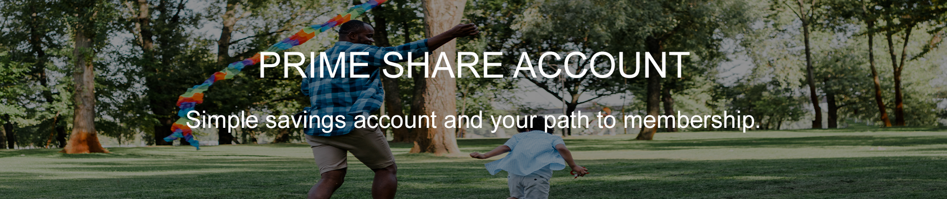 Prime Share Account